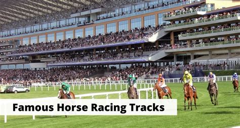 horse racing track daily racing.